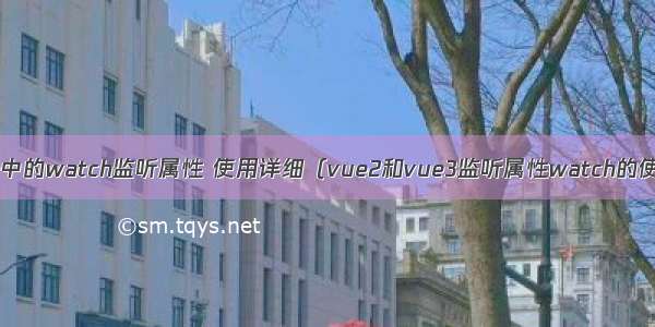 vue中的watch监听属性 使用详细（vue2和vue3监听属性watch的使用）