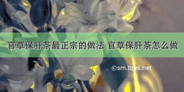 官草保肝茶最正宗的做法 官草保肝茶怎么做