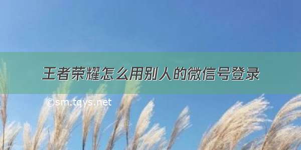 王者荣耀怎么用别人的微信号登录