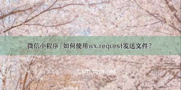 微信小程序 | 如何使用wx.request发送文件？
