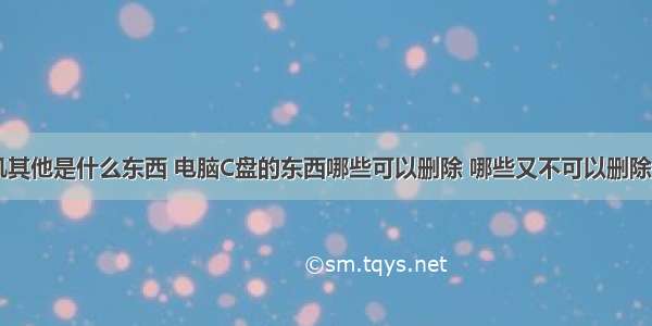 计算机其他是什么东西 电脑C盘的东西哪些可以删除 哪些又不可以删除呢？...