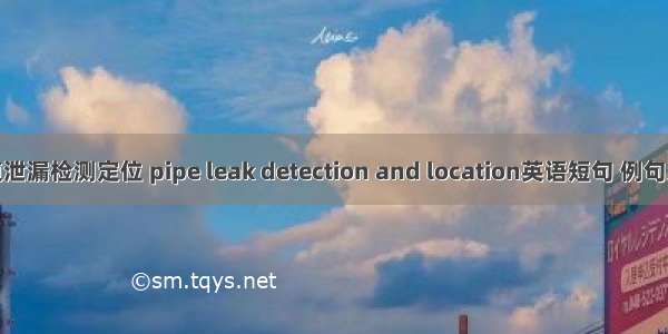 管道泄漏检测定位 pipe leak detection and location英语短句 例句大全