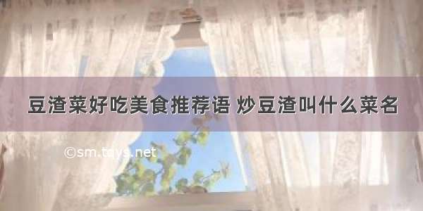 豆渣菜好吃美食推荐语 炒豆渣叫什么菜名