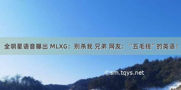 全明星语音曝出 MLXG：别杀我 兄弟 网友：“五毛钱”的英语！