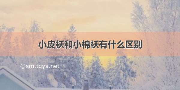 小皮袄和小棉袄有什么区别