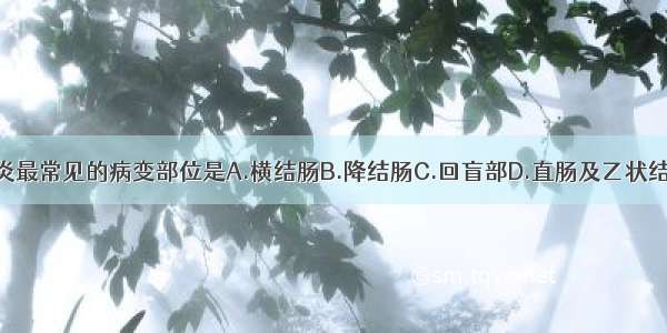 溃疡性结肠炎最常见的病变部位是A.横结肠B.降结肠C.回盲部D.直肠及乙状结肠E.升结肠