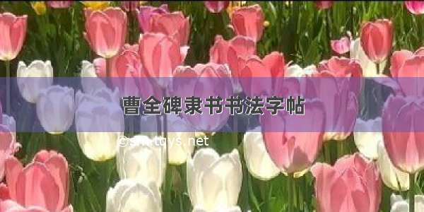 曹全碑隶书书法字帖