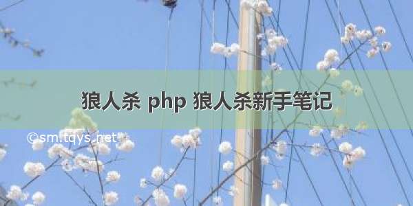 狼人杀 php 狼人杀新手笔记