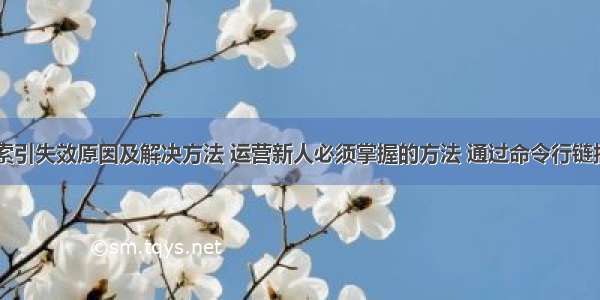 mysql索引失效原因及解决方法 运营新人必须掌握的方法 通过命令行链接mysql