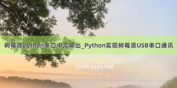 树莓派python串口中文输出_Python实现树莓派USB串口通讯