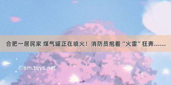 合肥一居民家 煤气罐正在喷火！消防员抱着“火雷”狂奔......