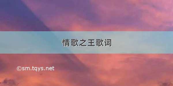 情歌之王歌词