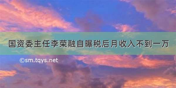 国资委主任李荣融自曝税后月收入不到一万