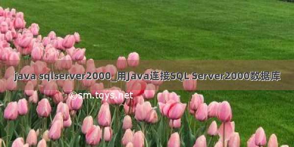 java sqlserver2000_用Java连接SQL Server2000数据库