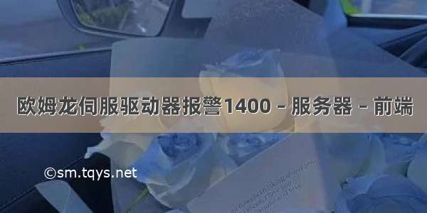 欧姆龙伺服驱动器报警1400 – 服务器 – 前端