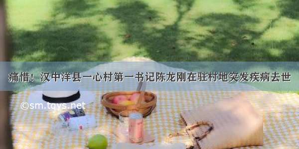 痛惜！汉中洋县一心村第一书记陈龙刚在驻村地突发疾病去世