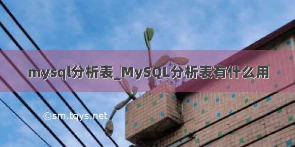 mysql分析表_MySQL分析表有什么用