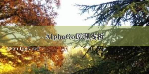 AlphaGo原理浅析