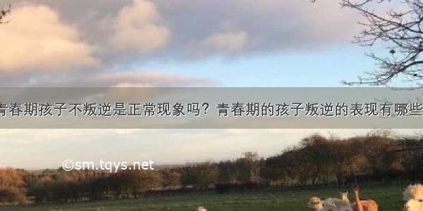 青春期孩子不叛逆是正常现象吗？青春期的孩子叛逆的表现有哪些？