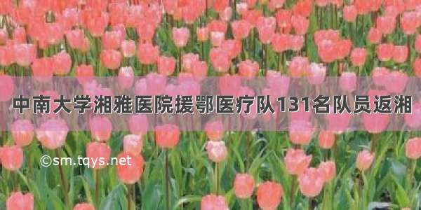 中南大学湘雅医院援鄂医疗队131名队员返湘