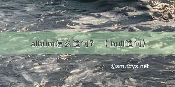 album怎么造句？ （ bull造句）