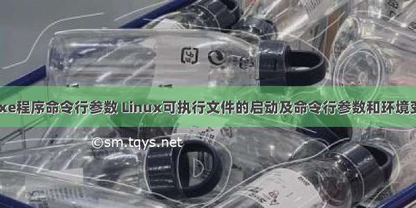 linux启动exe程序命令行参数 Linux可执行文件的启动及命令行参数和环境变量的传递...