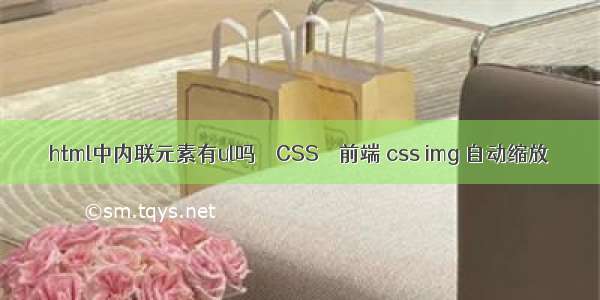 html中内联元素有ul吗 – CSS – 前端 css img 自动缩放
