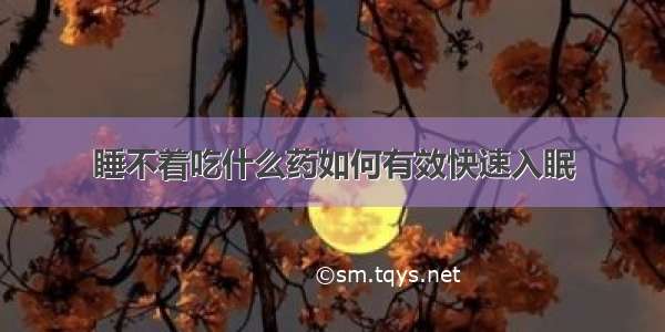 睡不着吃什么药如何有效快速入眠