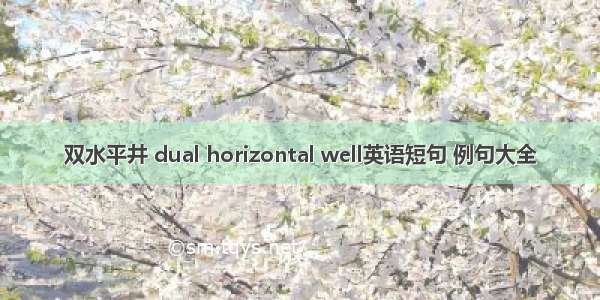 双水平井 dual horizontal well英语短句 例句大全