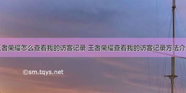 王者荣耀怎么查看我的访客记录 王者荣耀查看我的访客记录方法介绍