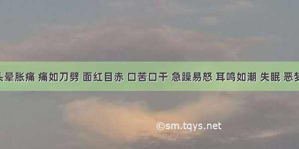 患者头晕胀痛 痛如刀劈 面红目赤 口苦口干 急躁易怒 耳鸣如潮 失眠 恶梦纷纭 