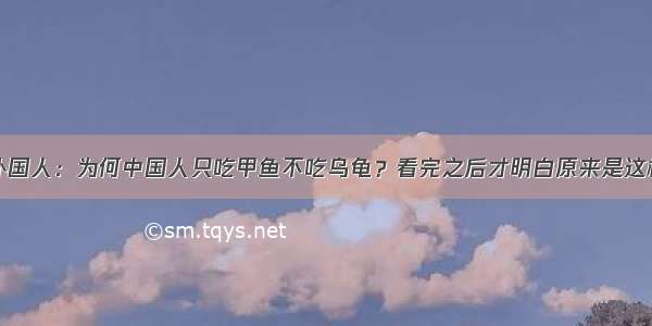 外国人：为何中国人只吃甲鱼不吃乌龟？看完之后才明白原来是这样