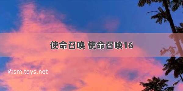 使命召唤 使命召唤16