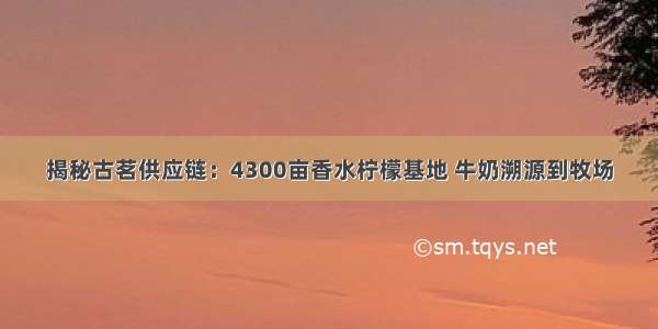 揭秘古茗供应链：4300亩香水柠檬基地 牛奶溯源到牧场