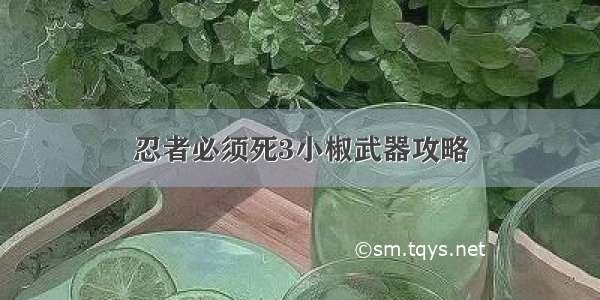 忍者必须死3小椒武器攻略