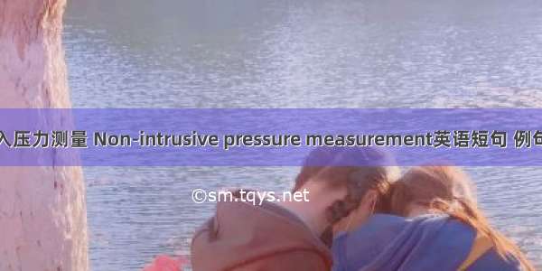 非介入压力测量 Non-intrusive pressure measurement英语短句 例句大全