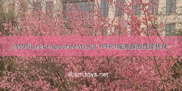 LAMP(Linux+Apache+MySQL+PHP)服务器的性能优化