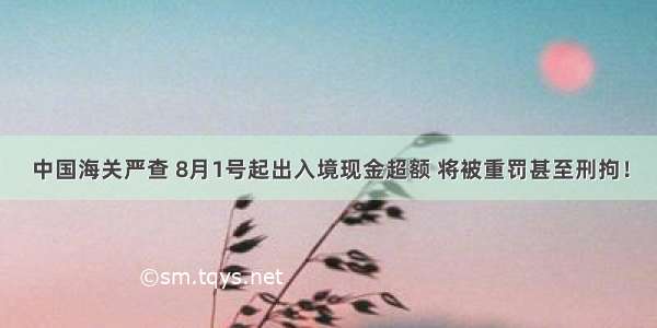 中国海关严查 8月1号起出入境现金超额 将被重罚甚至刑拘！