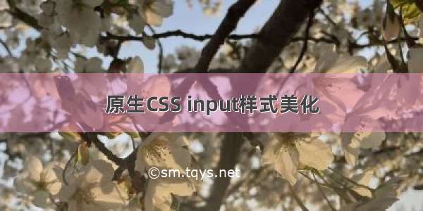 原生CSS input样式美化