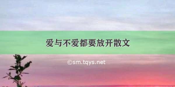 爱与不爱都要放开散文