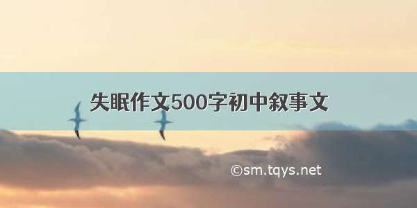 失眠作文500字初中叙事文