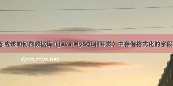 您应该如何在数据库（Java MySQL和开发）中存储格式化的字段？