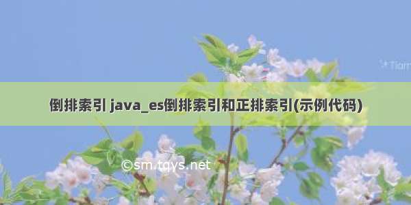 倒排索引 java_es倒排索引和正排索引(示例代码)