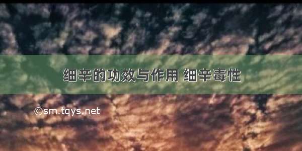 细辛的功效与作用 细辛毒性