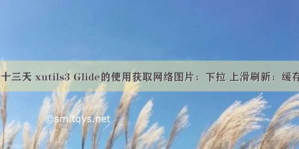 手机影音第十三天 xutils3 Glide的使用获取网络图片；下拉 上滑刷新；缓存网络资源...