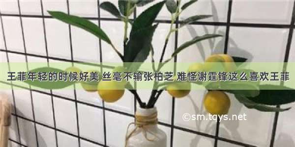 王菲年轻的时候好美 丝毫不输张柏芝 难怪谢霆锋这么喜欢王菲