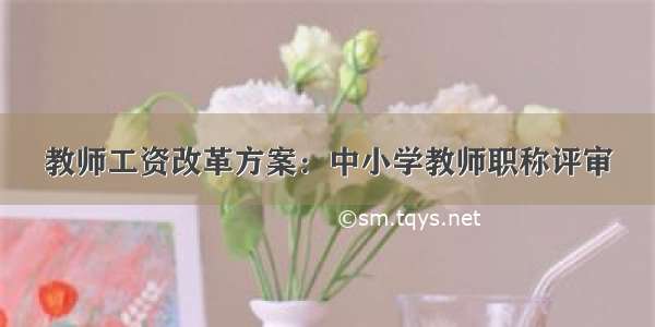 教师工资改革方案：中小学教师职称评审