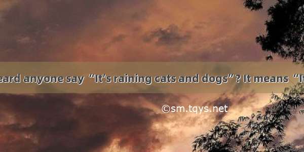 Have you ever heard anyone say “It’s raining cats and dogs”? It means “It’s raining hard!”