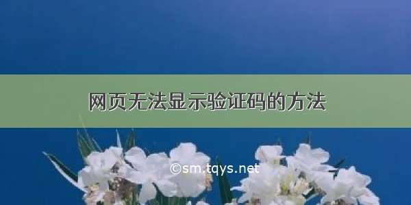 网页无法显示验证码的方法