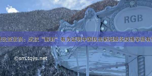 赞比亚官员：武汉“解封”有力证明中国抗击新冠肺炎疫情举措有效